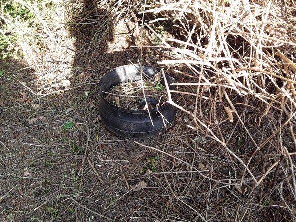 3Wells' cooking secrets - revealed ...