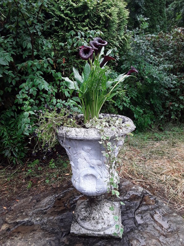 Calla with additions